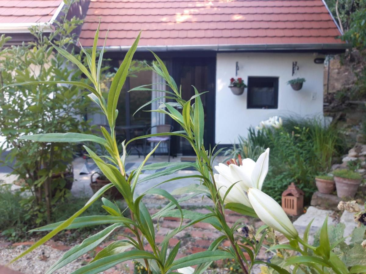 Apartmán Kismadar Vendeghaz